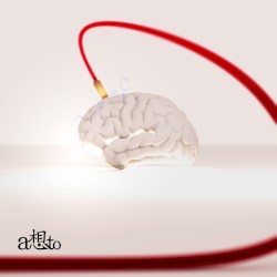 NEW SENSATION