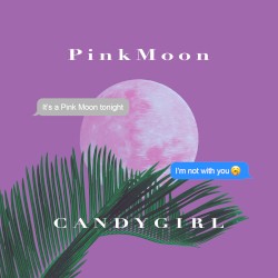 Pink Moon