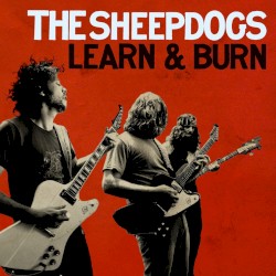 Learn and Burn