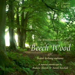 European Woodland Series: Beech Wood