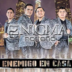 Enemigo en casa