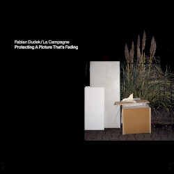 Protecting A Picture That's Fading