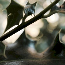 Xmas Denied (Serf Complex)