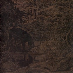 Of Stone, Wind, & Pillor