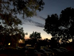 Surveillance Bureau Group 109