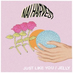 Just Like You / Jelly