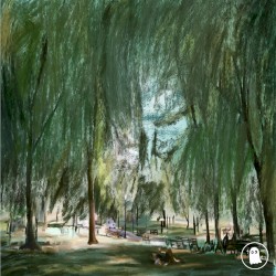 love in the morning sun