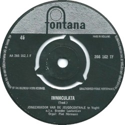 Immaculata / Virgo Dei genitrix