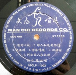 徐小鳳之歌：誰能知道我的情