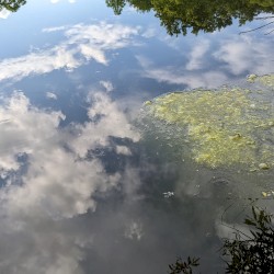 hypervisibility