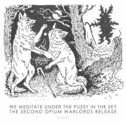 We Meditate Under the Pussy in the Sky