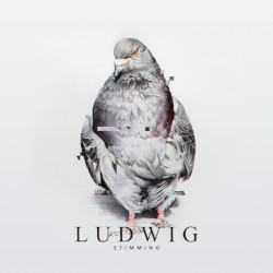 Ludwig