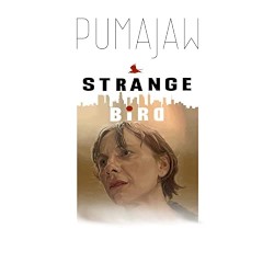 Strange Bird Soundtrack