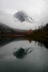 Society Is a Nurse Floating on a River of the Human Heart