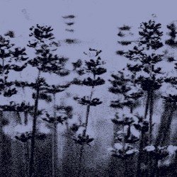 Not In Love (CRYSTAL CASTLES & ROBERT SMITH cover)