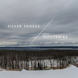 Silver Snakes/Souvenirs 7"