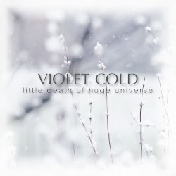 Little Death of Huge Universe