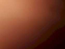 Set for Sylveon, June 1st 2021