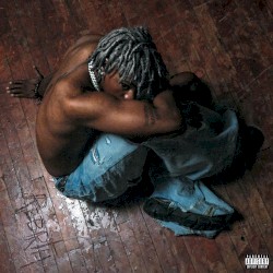 FLY ENOUGH TO BE VIRGIL