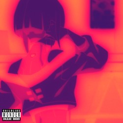 I Really Want to Stay at Your House (remix/cover)