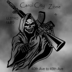 ZONE 4 CAROL CITY