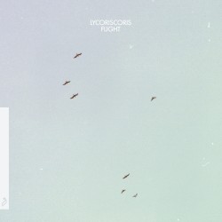 Flight