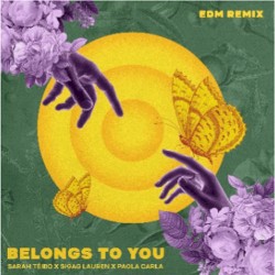 Belongs To You (remix)