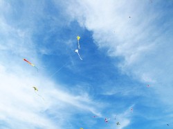 Various Remixes and Appearances