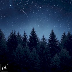 lost in the evergreens