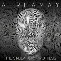 The Simulation Hypothesis