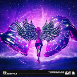 The Ones We Love (VIP mix)