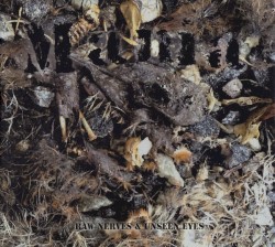 Raw Nerves & Unseen Eyes