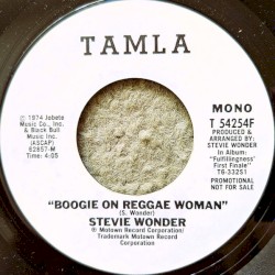 Boogie On Reggae Woman
