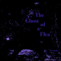 The Ghost of a Flea