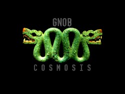Cosmosis