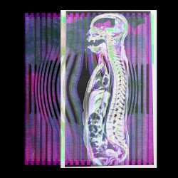 Live to Burn / Live Burn 7