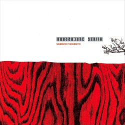 Silenzio Violento