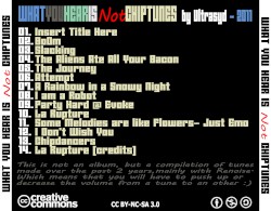 What You Hear Is Not Chiptunes