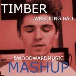 Wrecking Ball/Timber Mashup