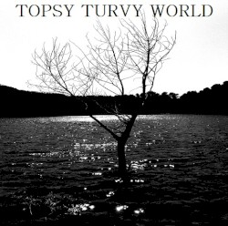 Topsy Turvy World