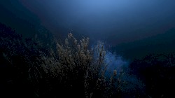 Ashes of the Emperor