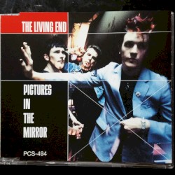 Pictures in the Mirror