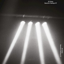 The Beautiful Feelings