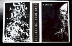 Nerves