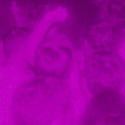 Tausendfrankenlang (live)