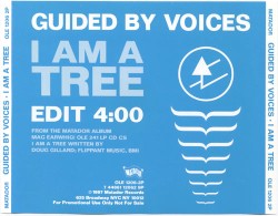 I Am a Tree