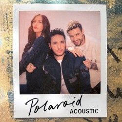 Polaroid (acoustic)