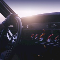 Cruise