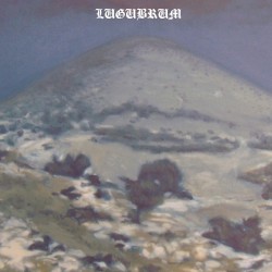 Face Lion, Face Oignon