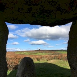 Love is a Grasshopper Nearby